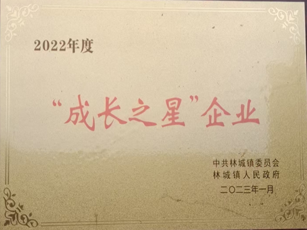 成長するスター企業